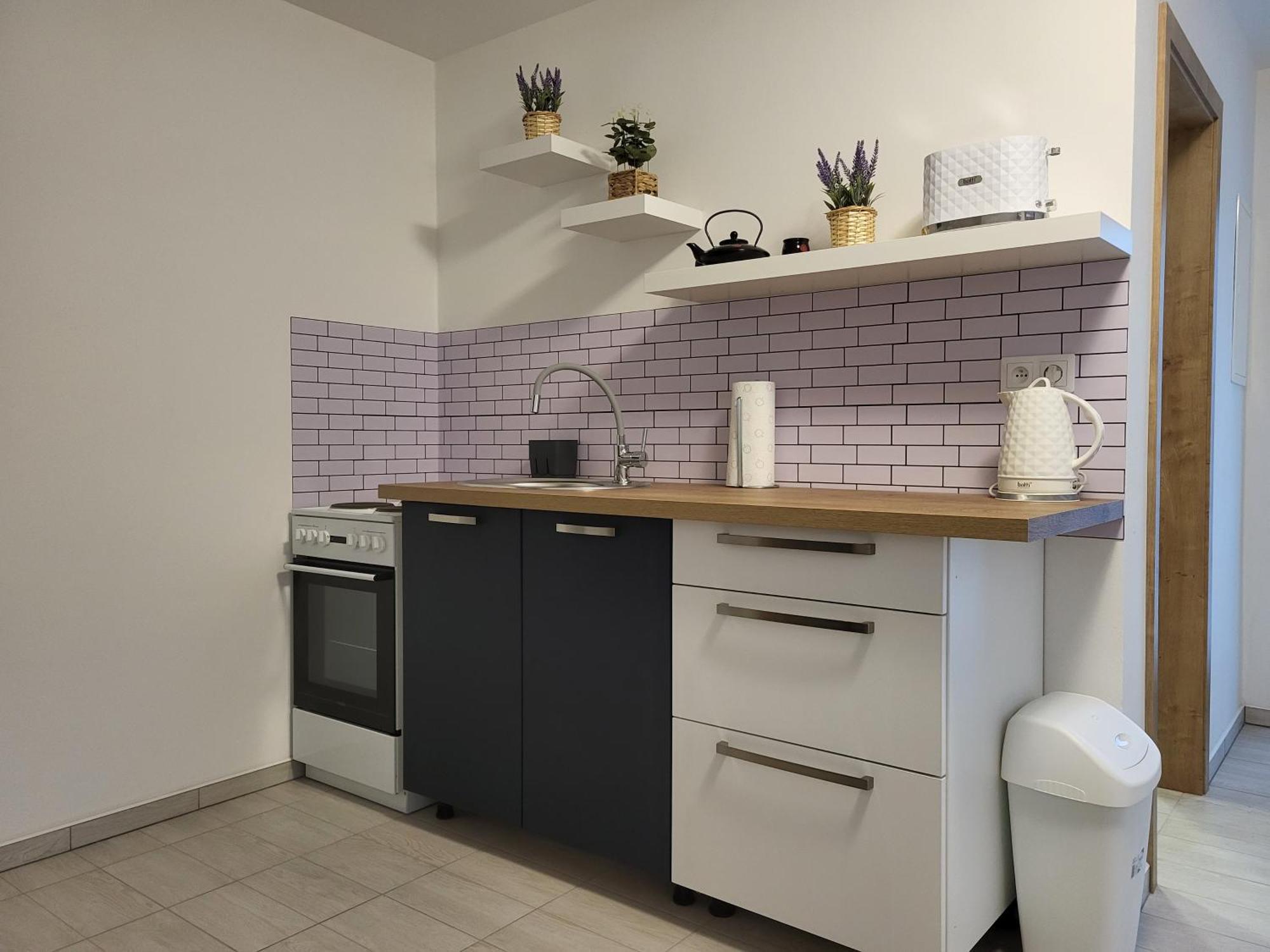 Apartman Na Karlicku Karlov  Exteriör bild